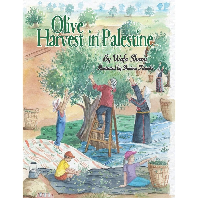 Olive Harvest in Palestine