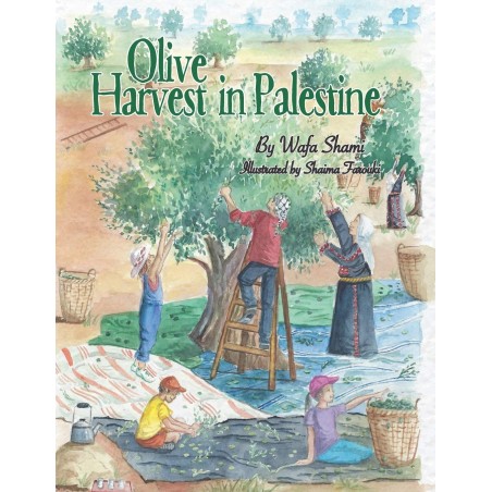 Olive Harvest in Palestine