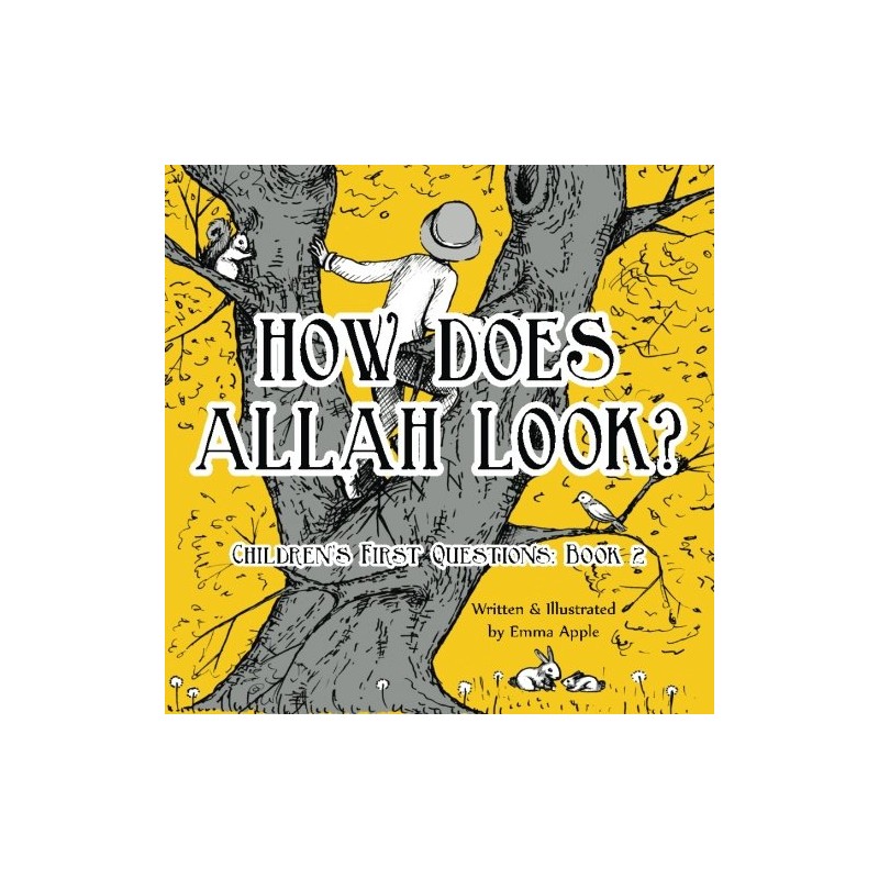 How Does Allah Look?