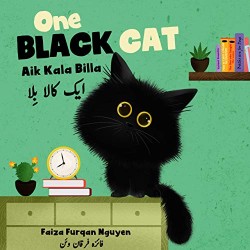 One Black Cat: Aik Kala Billa
