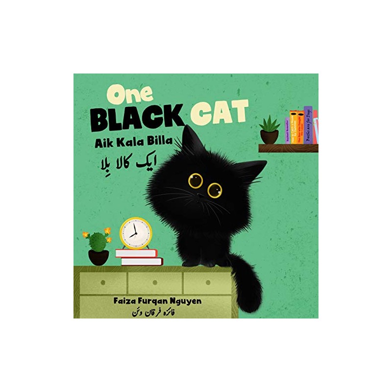 One Black Cat: Aik Kala Billa