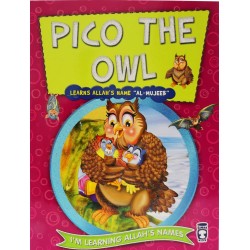 Pico The Owl Learns Allah's Name Al-Mujeeb