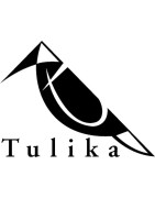 Tulika Books