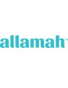 Allamah Education